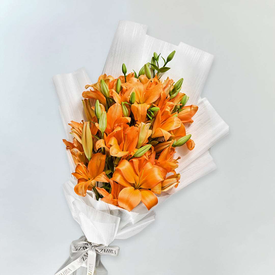 df3449ff4667 Radiant Harmony - Image 1